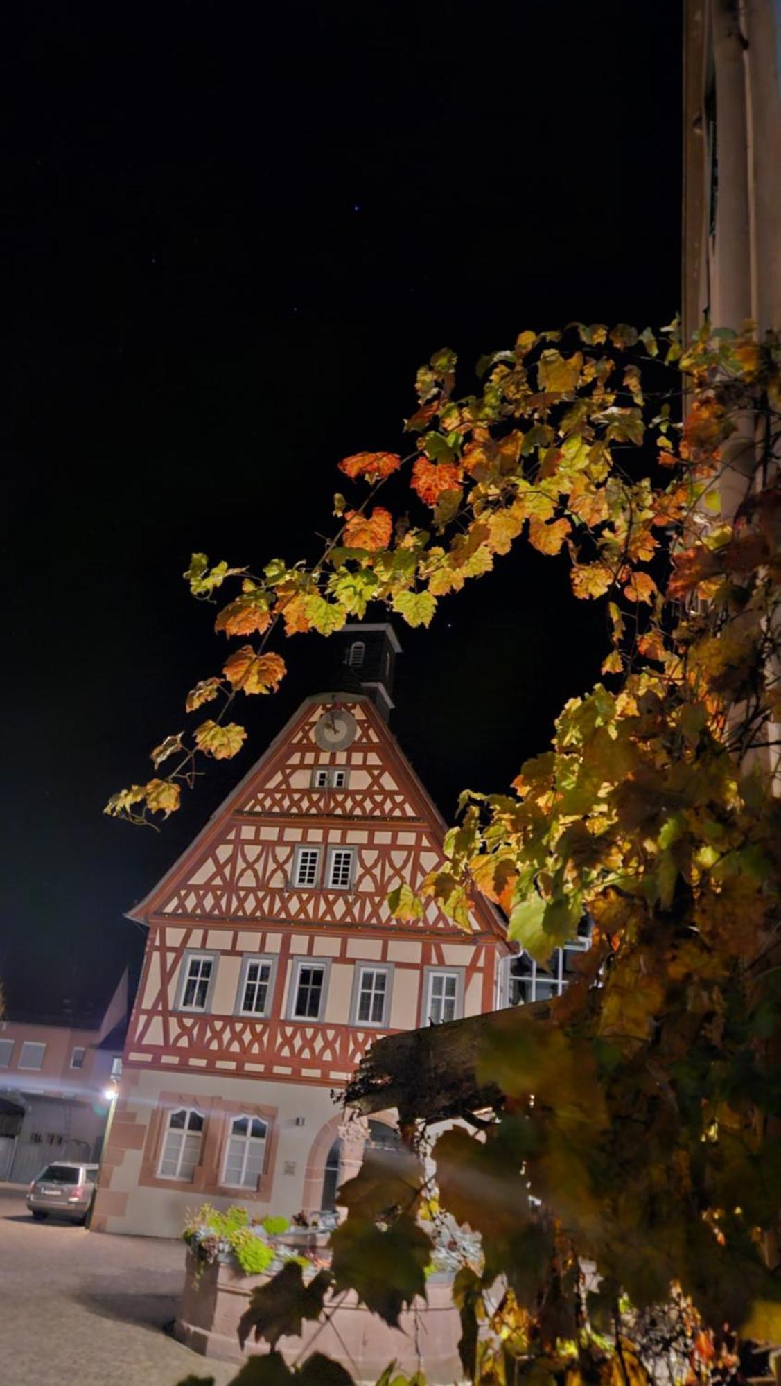 Brunnenputzer Pension Restaurant Kulsheim Экстерьер фото